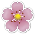 :flower: