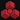 :reason_compact: